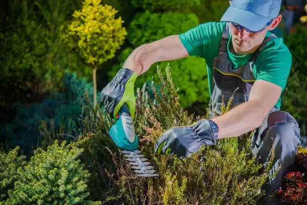 landscaping services Beaver